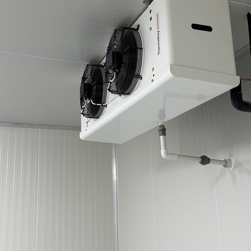 Cooliva cold room work 10