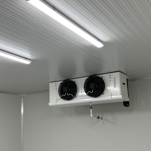 Cooliva cold room work 4