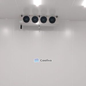 Read more about the article Freezer Room Maintenance: Key Inspection Points